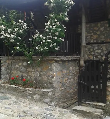 阿克翁图拉传统旅馆 招待所 帕莱斯潘蒂雷蒙